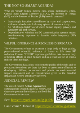 Reverse side of flyer for court case